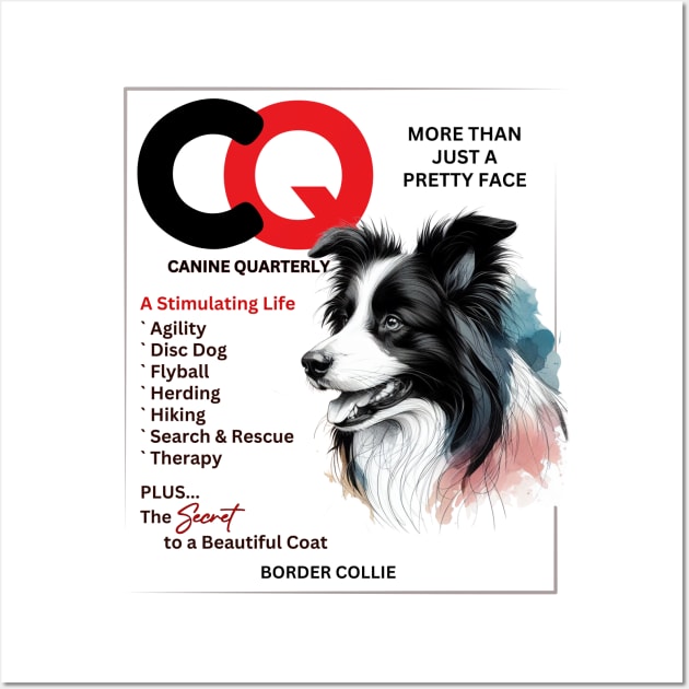 CQ MAGAZINE - Border Collie Wall Art by ZogDog Pro